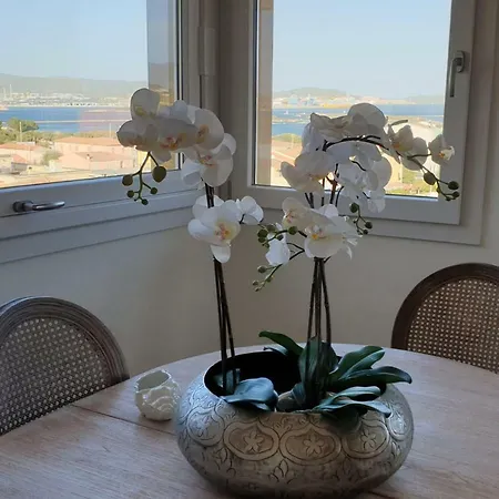 Apartment Attico Belvedere